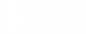 Lifelong Learning
